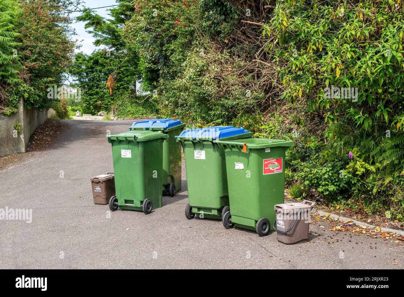 Inländische Mülltonnen, die in West Cork, Irland, abgeholt werden müssen. Stockfoto