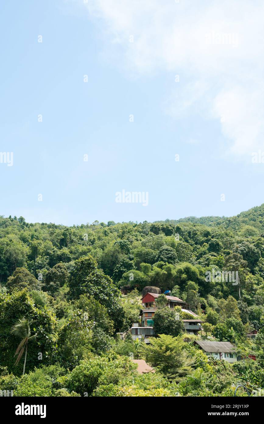 Grüner Wald, Berg und Haus in Penang, Malaysia Stockfoto