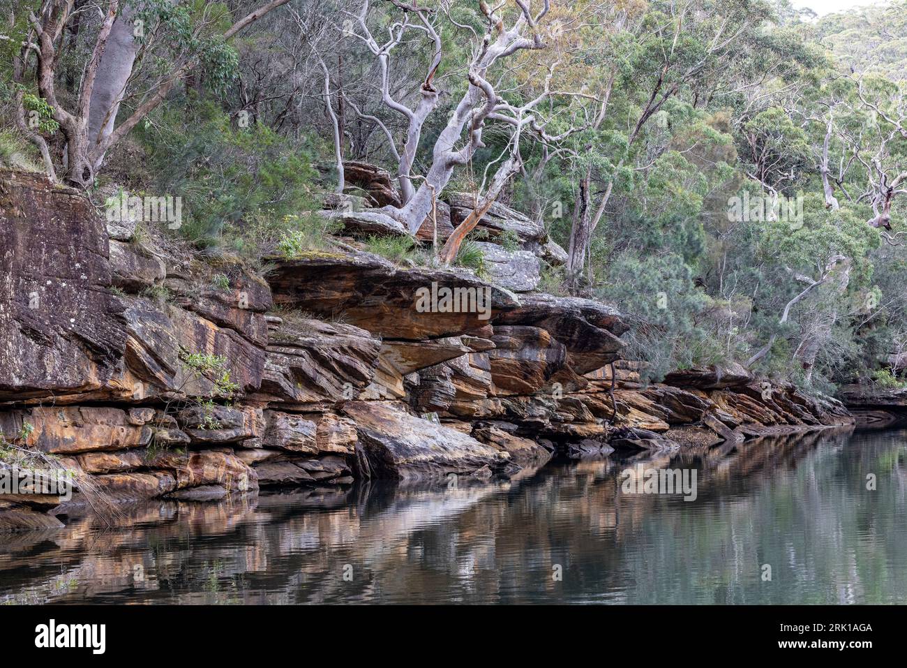 Hacking River, Royal National Park Sydney Australien Stockfoto