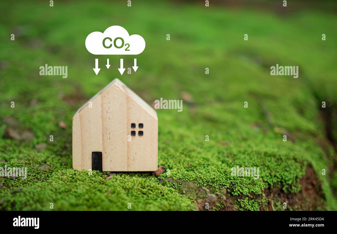 Konzept zur Reduzierung der CO2-Emissionen, saubere und umweltfreundliche Umwelt ohne Kohlendioxidemissionen. Pflanzen von Bäumen zur Verringerung der CO2-Emissionen, Umwelt Stockfoto