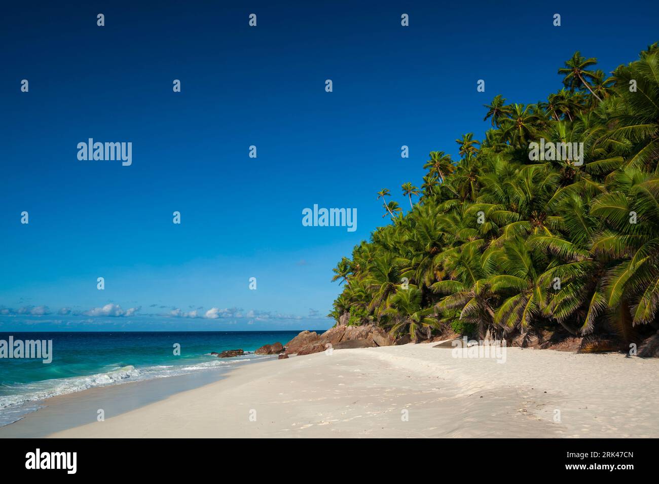 Eine große Palmengruppe an einem tropischen Sandstrand im Indischen Ozean. Anse Victorin Beach, Fregate Island, Republik Seychelle Stockfoto