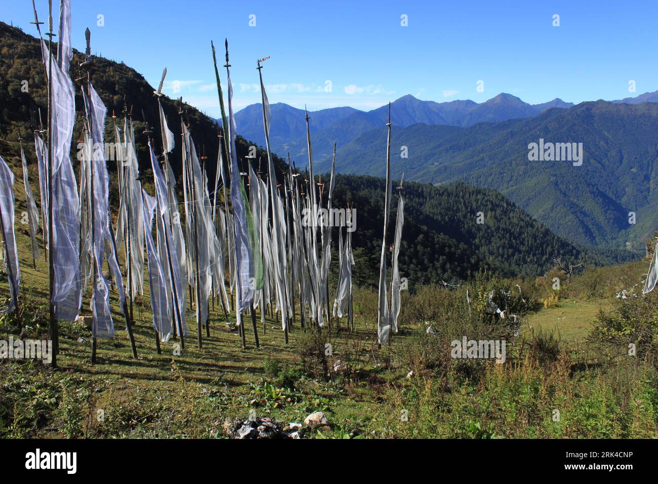 Die Gebetsfahnen am Chelela Pass. Bhutan. Stockfoto