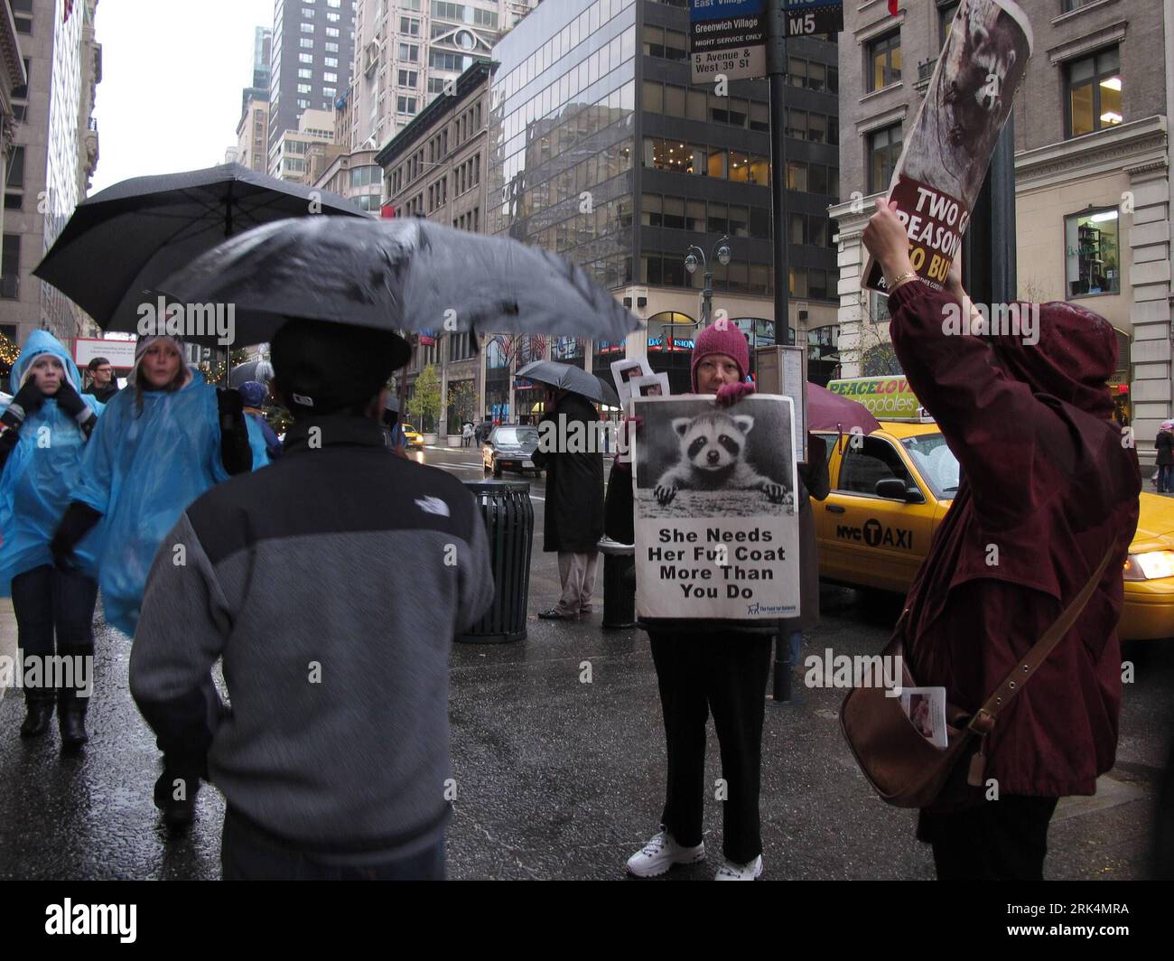 Bildnummer: 53648667 Datum: 05.12.2009 Copyright: imago/Xinhua Ein Mitglied der Caring Aktivists Against Fur (CAAF) nimmt am 5. Dezember 2009 an einem Protest gegen Pelze in New York, USA, Teil. Die CAAF wird an den folgenden Wochenenden bis nächsten Februar Proteste in New York und New Jersey abhalten. (Xinhua/Liu Xin) (lyi) (3)U.S.-NEW YORK-CAAF-PROTESTE PUBLICATIONxNOTxINxCHN kbdig xkg 2009 quer o0 Protest Tierschützer Tierschutz o00 Pelz Bildnummer 53648667 Datum 05 12 2009 Copyright Imago XINHUA ein Mitglied der Caring Aktivists Against for CAAF nimmt an einem Protest gegen die US in New York 5 CADEC 2009 Stockfoto