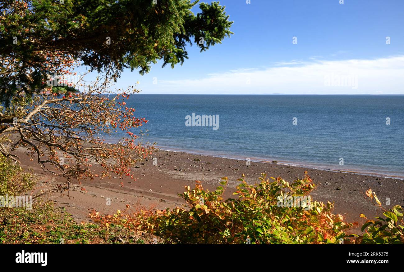 Strand in der Nähe von Parrsboro, Nova Scotia, mit Blick auf das Minas Basin, Kanada. Das Nordufer des Minas Basins ist einer der versteckten Schätze von Nova Scotia Stockfoto