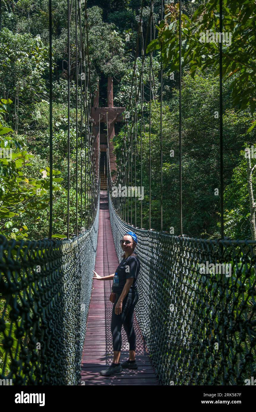Der Belalong Canopy Walkway erstreckt sich über 5 miteinander verbundene Türme, die sich 43 m über dem unberührten tropischen Regenwald des Ulu Temburong National Park, Brunei, Borneo, erheben Stockfoto