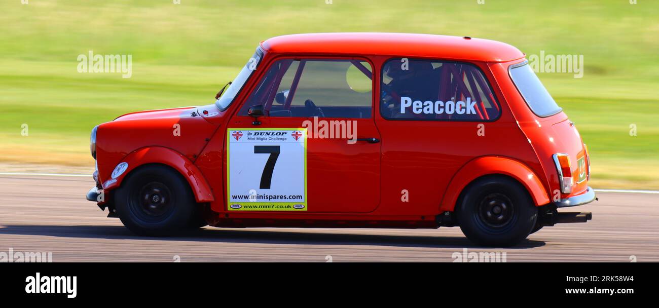 BTCC-TREFFEN BEI THRUXTON 2023 MINI'S Stockfoto