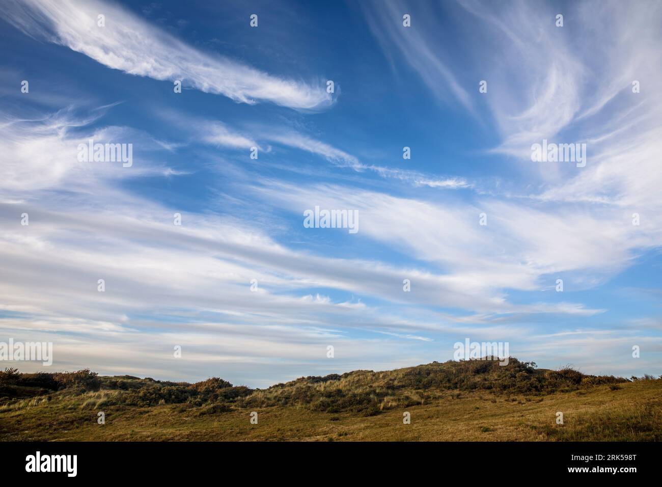 cirrus Wolke über Dünen in Oostkapelle auf der Halbinsel Walcheren, Zeeland, Niederlande. Cirruswolke ueber Duenen bei Oostkapelle auf Walcheren, Zeel Stockfoto