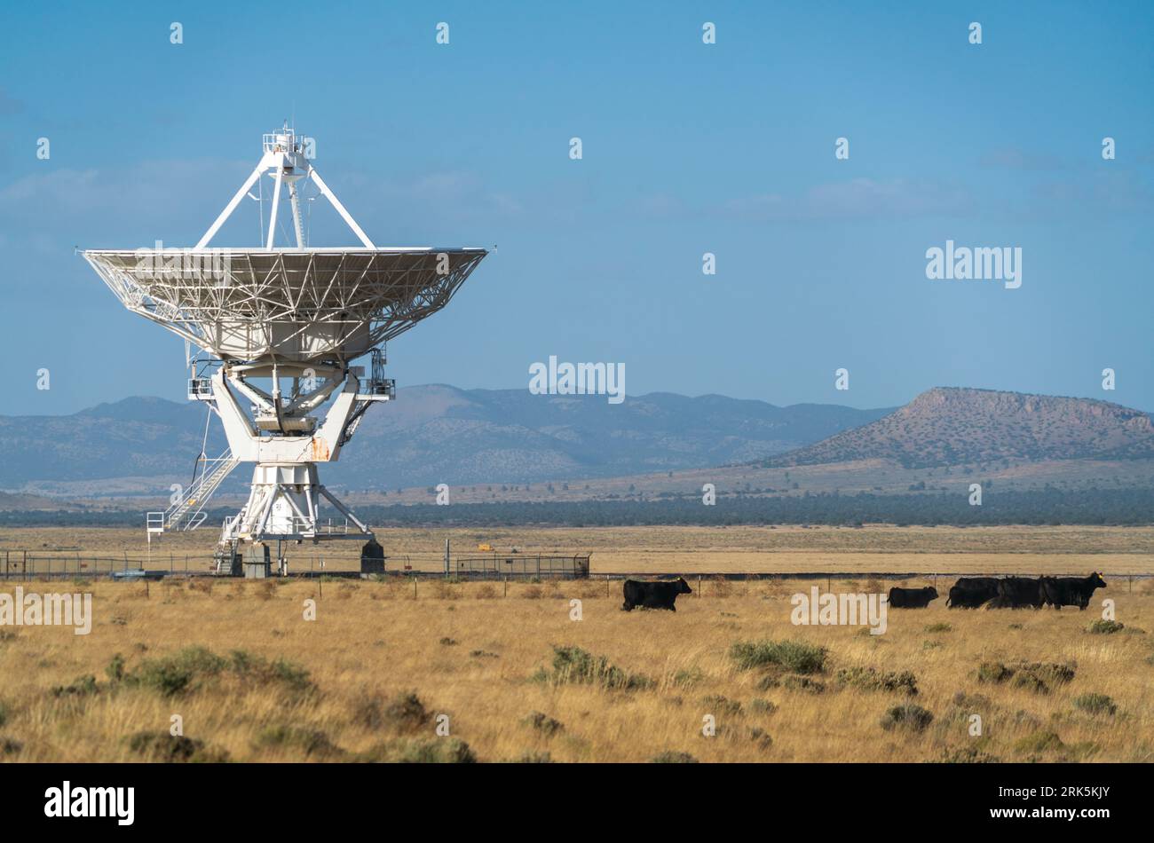 Das sehr große Array in New Mexico Stockfoto