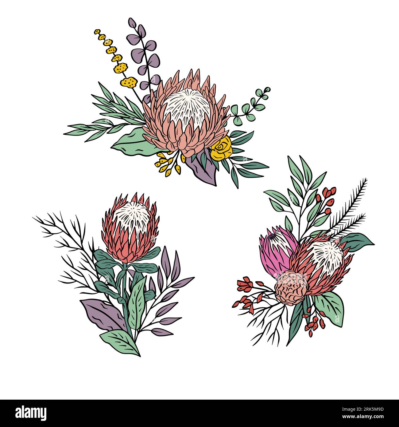 Colorful tropical protea flowers and leaves bouquets set Stock Vektor
