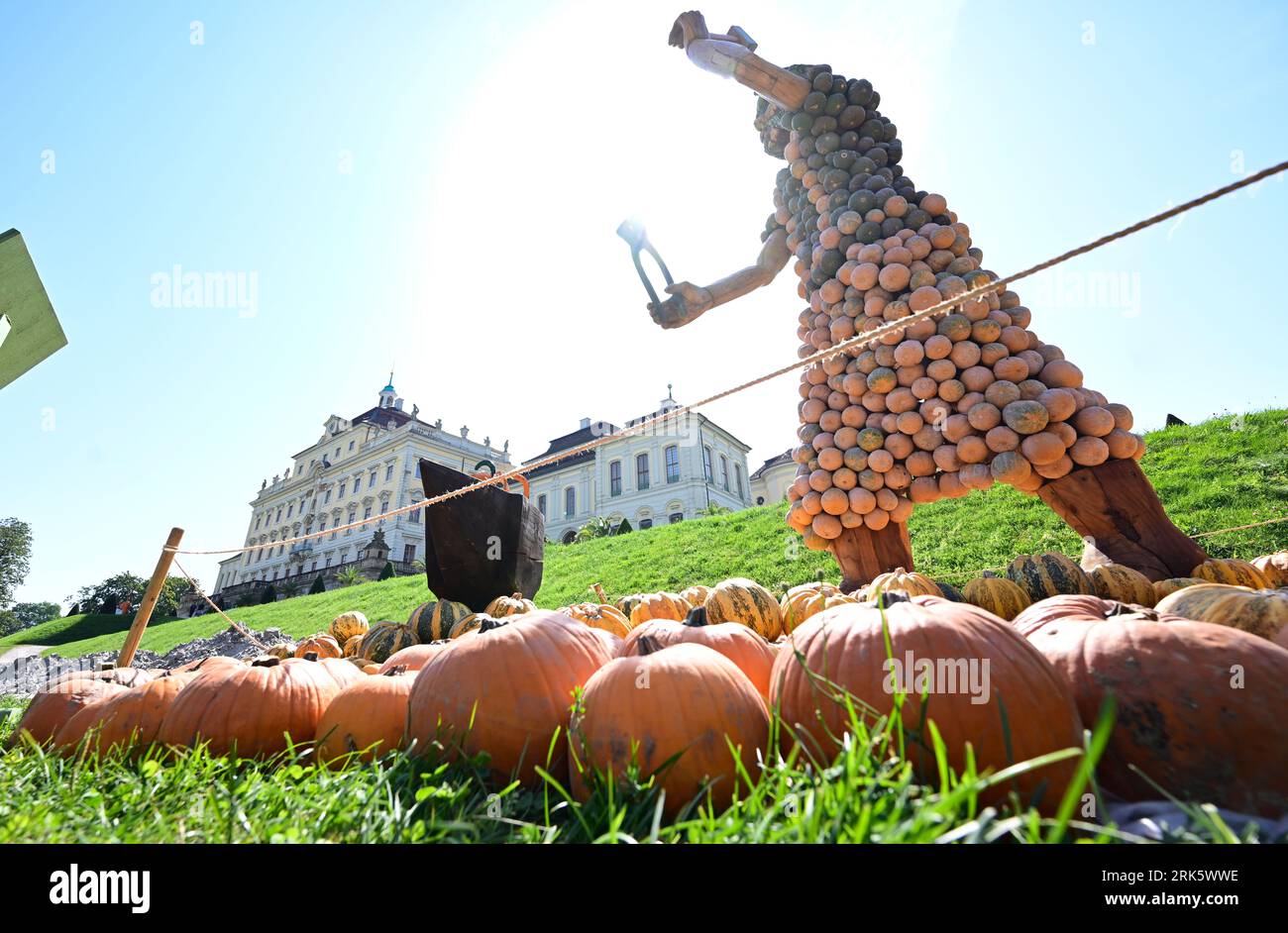 24. August 2023, Baden-Württemberg, Ludwigsburg: Im Rahmen einer Kürbisausstellung wird im Park im Blühenden Barock in Ludwigsburg eine Figur aus Kürbissen aufgestellt. (Zur dpa „Hunderttausende Kürbisse schmücken den Park in Ludwigsburg wieder“) Foto: Bernd Weißbrod/dpa Stockfoto