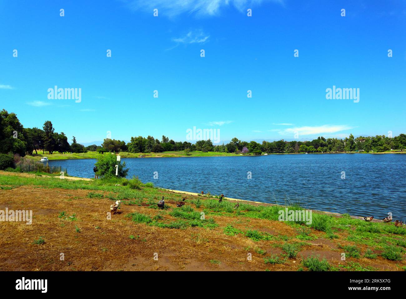 Los Angeles, Kalifornien: Lake Balboa - Anthony C. Beilenson Park at 6300 Balboa Blvd, Van Nuys (Los Angeles), Kalifornien Stockfoto
