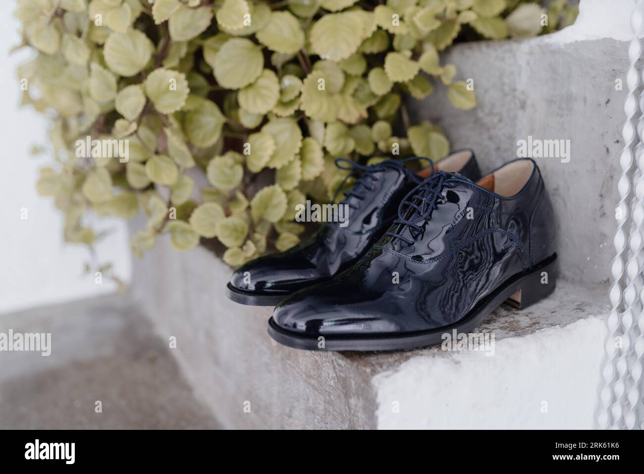 Ein Paar schwarze Schuhe auf den Stufen einer Betontreppe, umgeben von üppigem Grün und einer Zementwand im Hintergrund Stockfoto