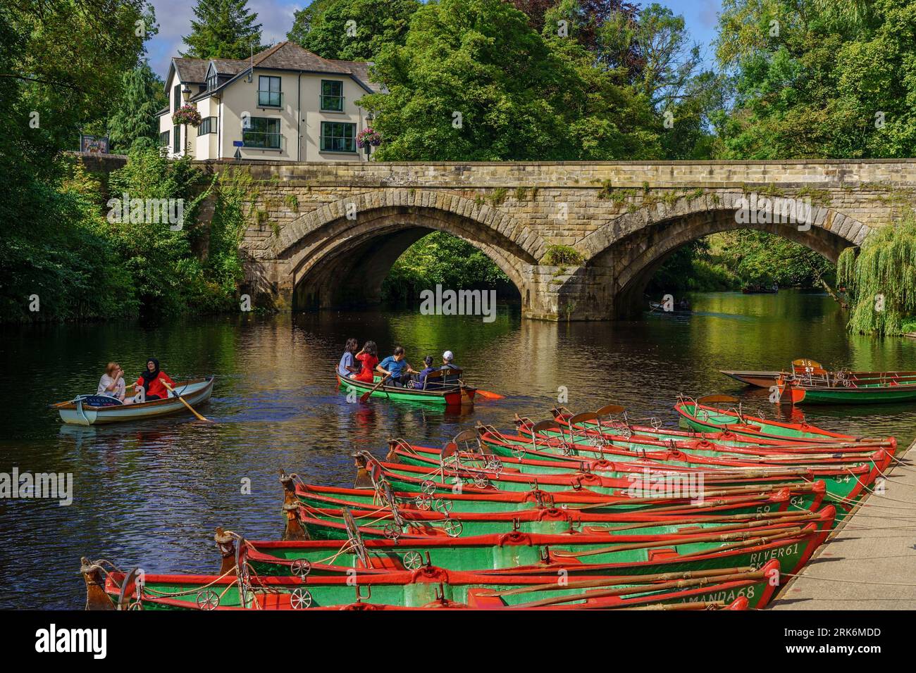 Grüne und rote Ruderboote legten in Reihen am Nidd River an, mit Ruderern in zwei Booten in der Nähe, Knaresborough, North Yorkshire, UK. Stockfoto