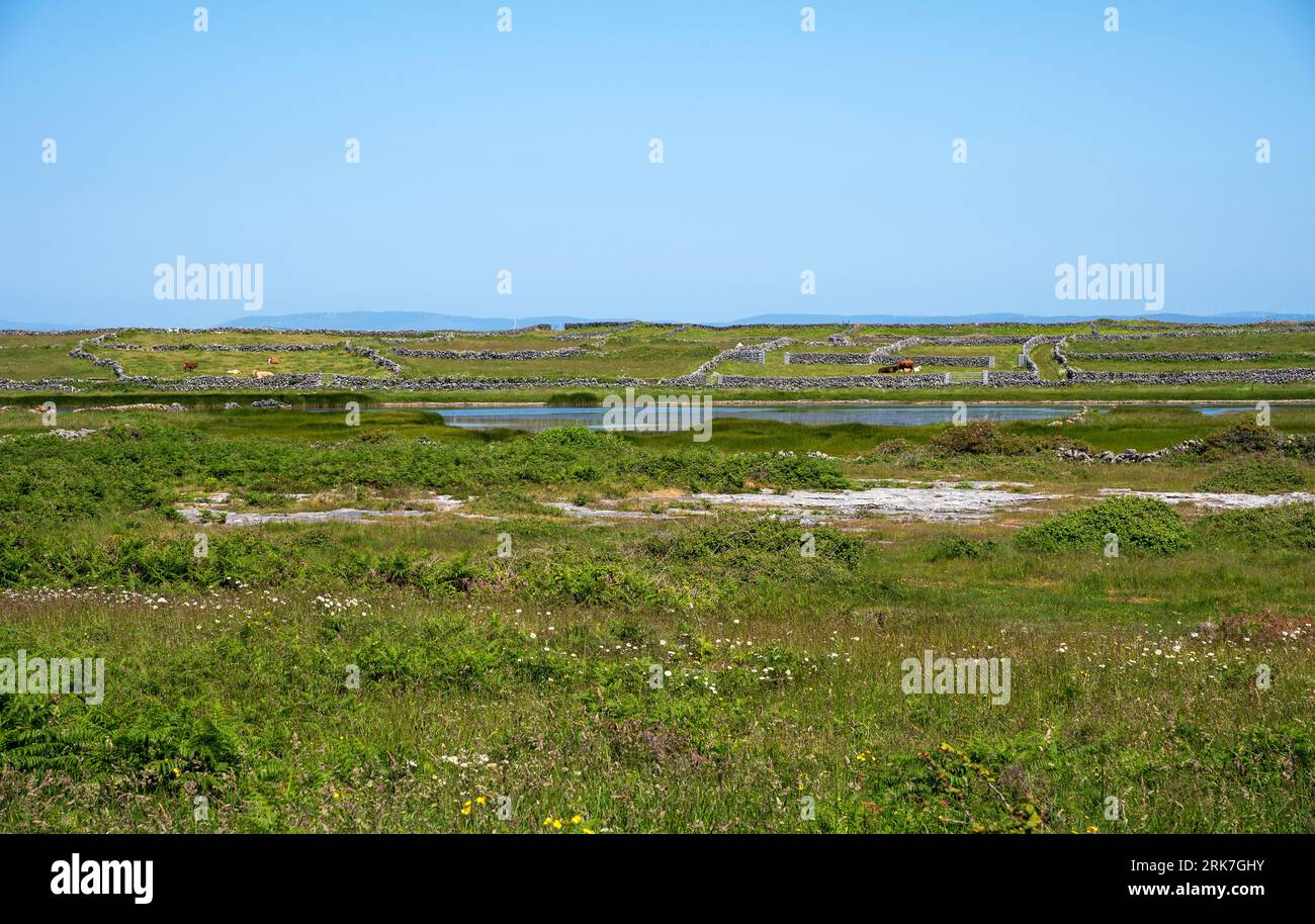 Inishmore, Aran Island, Co, Galway, Irland, die letzten Länder im Westen, bevor du Amerika erreichst Stockfoto