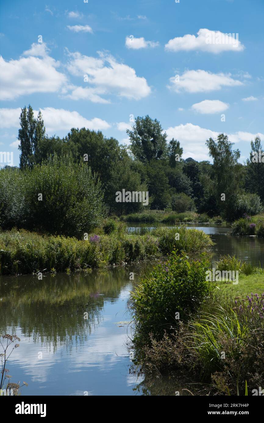 Lake at Penshurst Place Manor House in Penshurst, Kent im August. Stockfoto