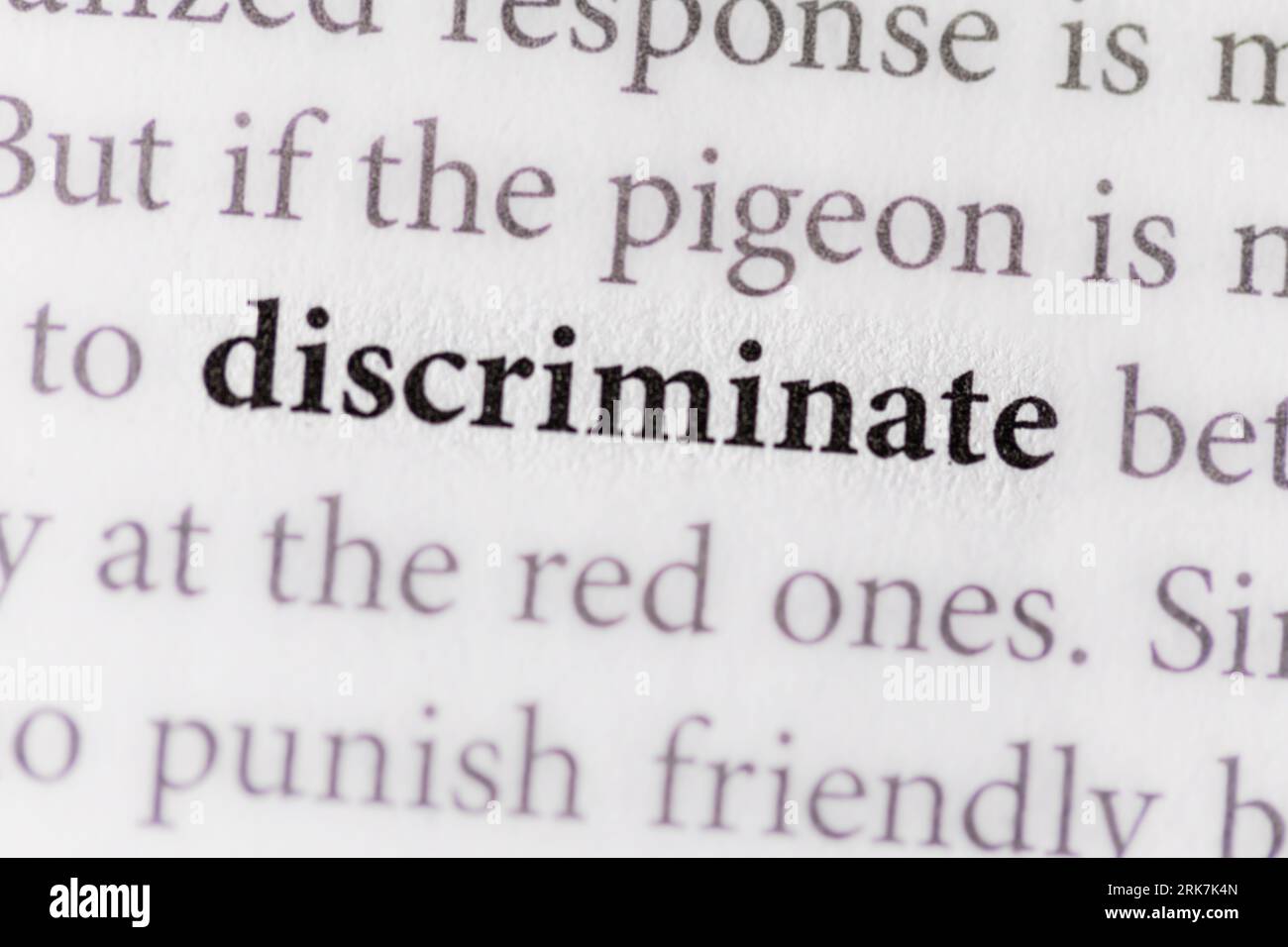 Nahaufnahme eines Papierstücks mit dem Aufdruck „Diskriminate“ auf dem Papier, mit weißem Hintergrund Stockfoto