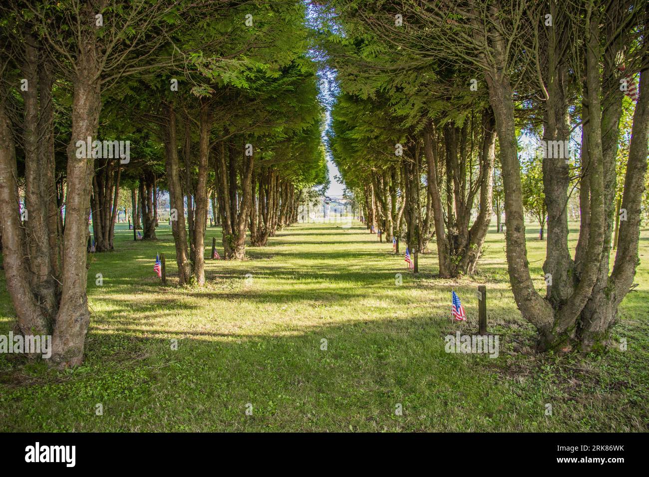 New York Firefighters und die Emerald Pipe und Drums besuchen den Gedenkgarten für gefallene Feuerwehrleute von 9/11 in Ringfinnan, Kinsale Co Cork, Irland. Stockfoto
