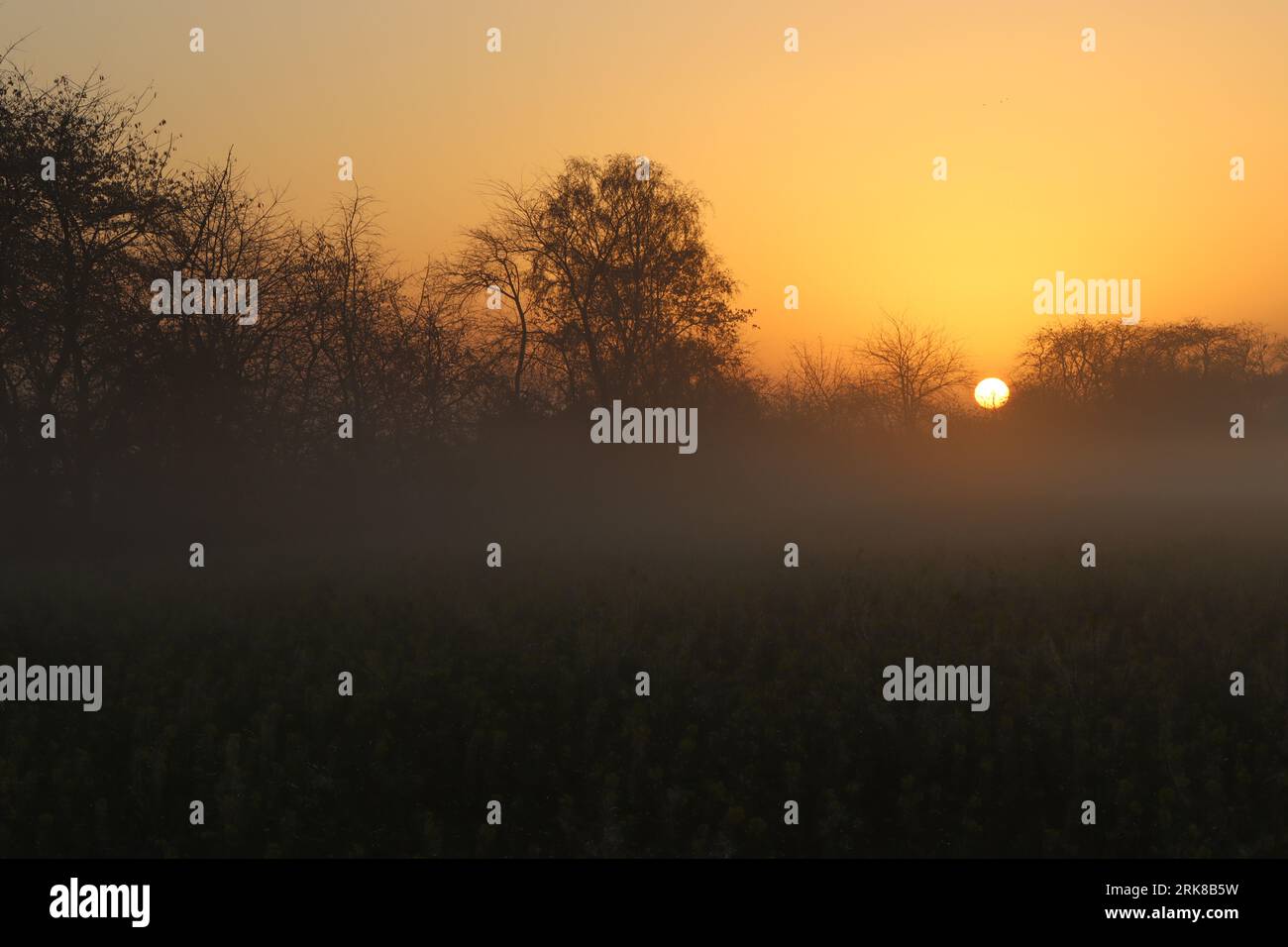 Nebelig sonniger Morgen/neuer Tag Stockfoto