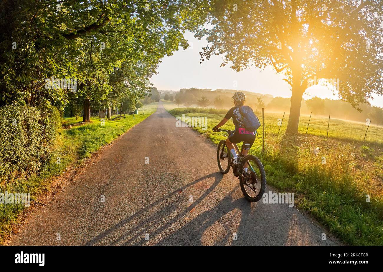 Nette Frau mit E-Mountainbike, Radfahren im stimmungsvollen Morgenlicht auf dem Neckartalradweg bei Ludwigsburg, Baden Württemberg, Deutschland Stockfoto