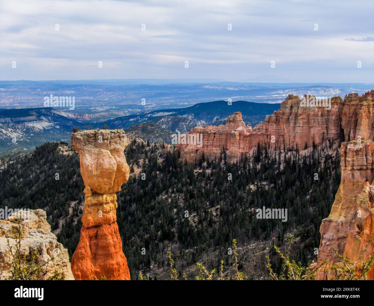 Blick vom Aussichtspunkt des Agua Canyon im Bryce Canyon National Park, Utah. Stockfoto