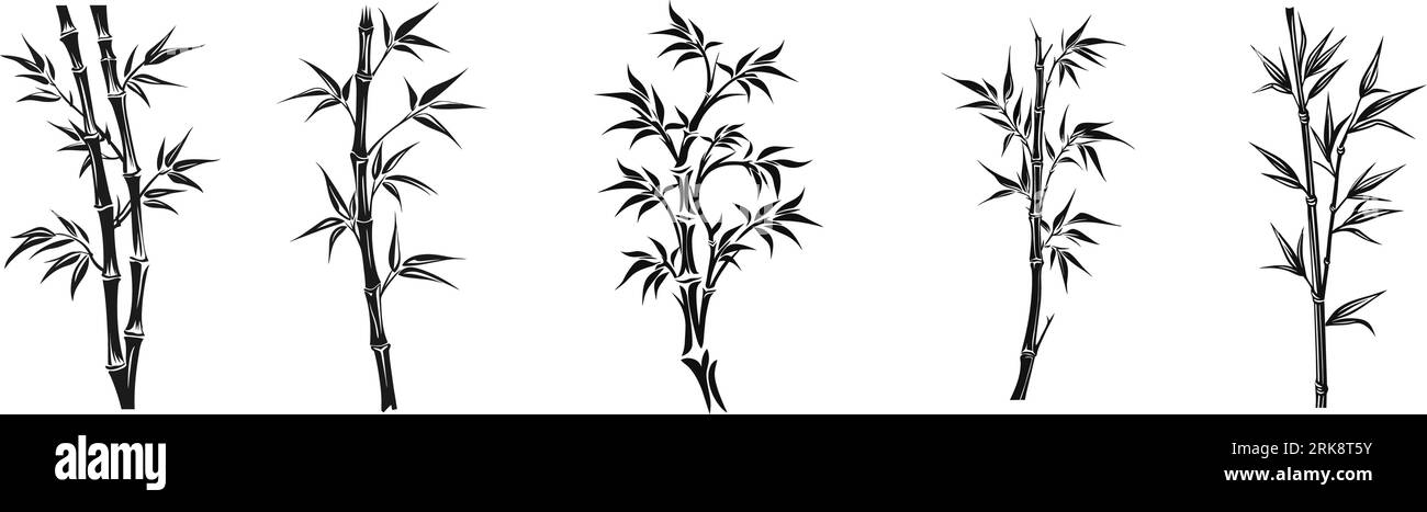 Illustration mit Bambussammlung auf weißem Hintergrund Stock Vektor