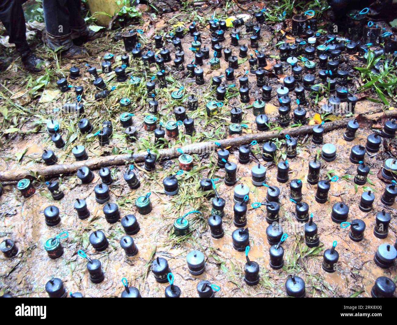 100530 -- BOGOTA, 30. Mai 2010 Xinhua -- Foto der Polizei in Kolumbien zeigt Landminen, die von den Revolutionären Streitkräften Kolumbiens FARC beschlagnahmt wurden. Die kolumbianischen Regierungstruppen beschlagnahmten am Freitag vor den bevorstehenden Präsidentschaftswahlen am 30. Mai 2010 in der Stadt San Francisco in Antioquia eine Reihe von Sprengstoffen, darunter etwa 500 Landminen. Xinhua zhs 2ADLOMBIA-BOGOTA-ELECTIONS-EXPLOSIVES-ERGRIFFEN PUBLICATIONxNOTxINxCHN Stockfoto