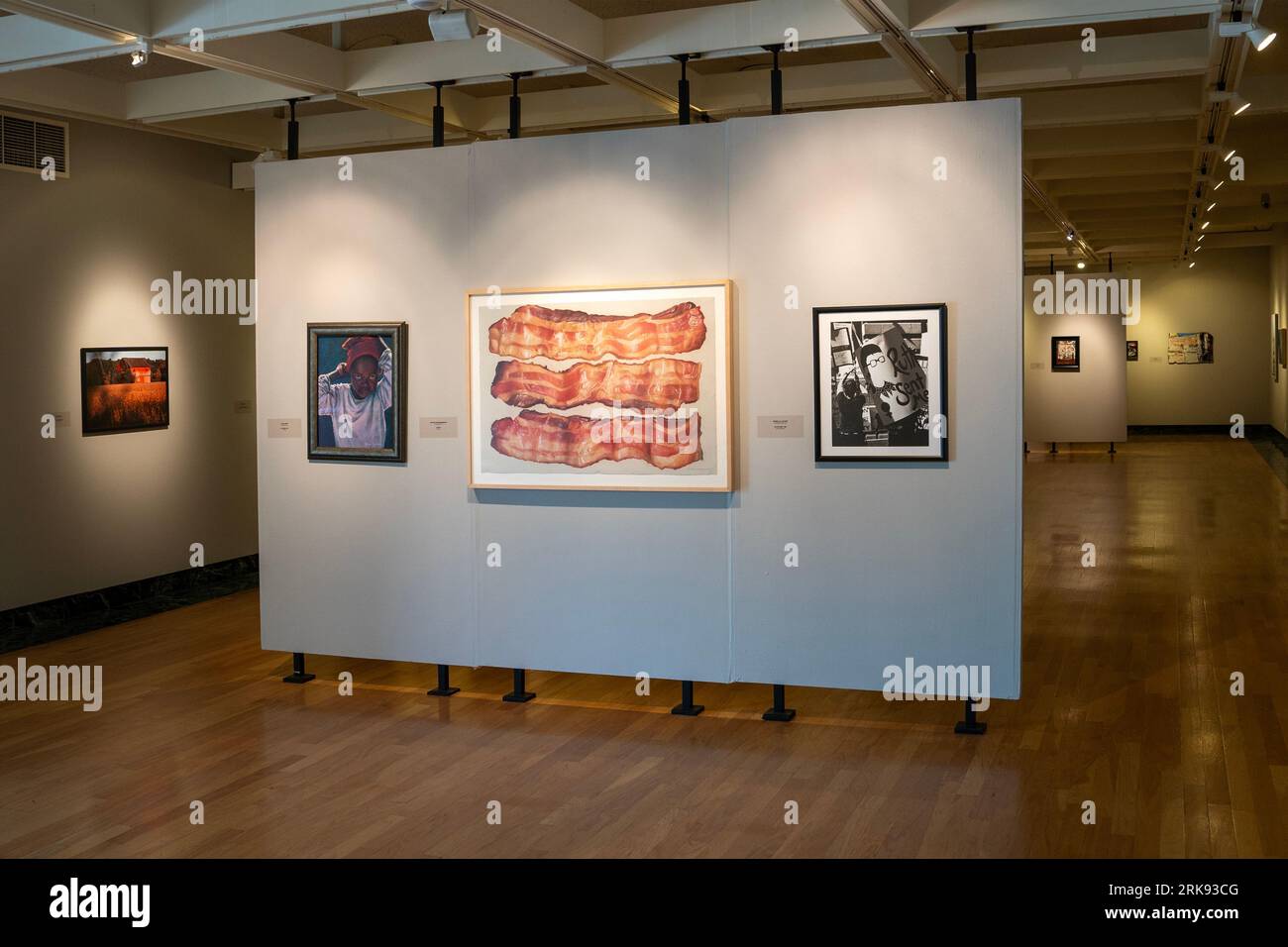 Butler Institute of American Art in Youngstown, Ohio Stockfoto