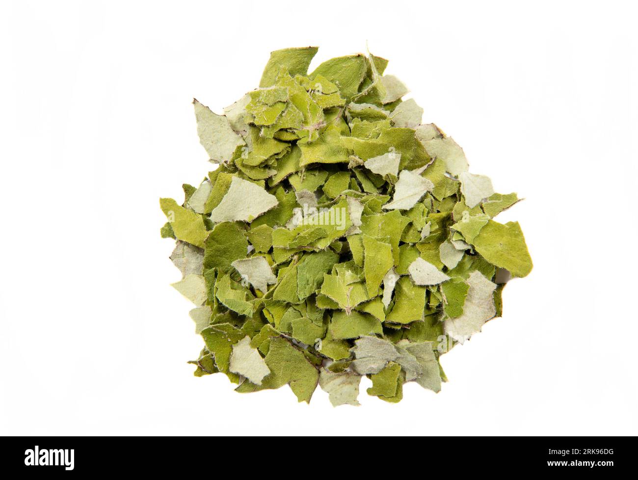 Getrocknete Tussilago farfarfarfarfarfara ( Hustkraut, Tashpflanze, Farfarfara), die allgemein als Coltsfoot bekannt ist und als natürliches Hustenmittel gilt. Stockfoto