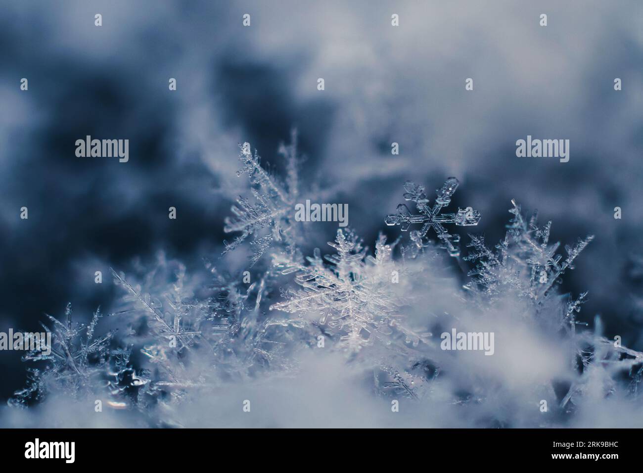Closeup von Schneeflocken auf blauem Hintergrund an einem kalten Wintertag. Makrofotografie. Stockfoto