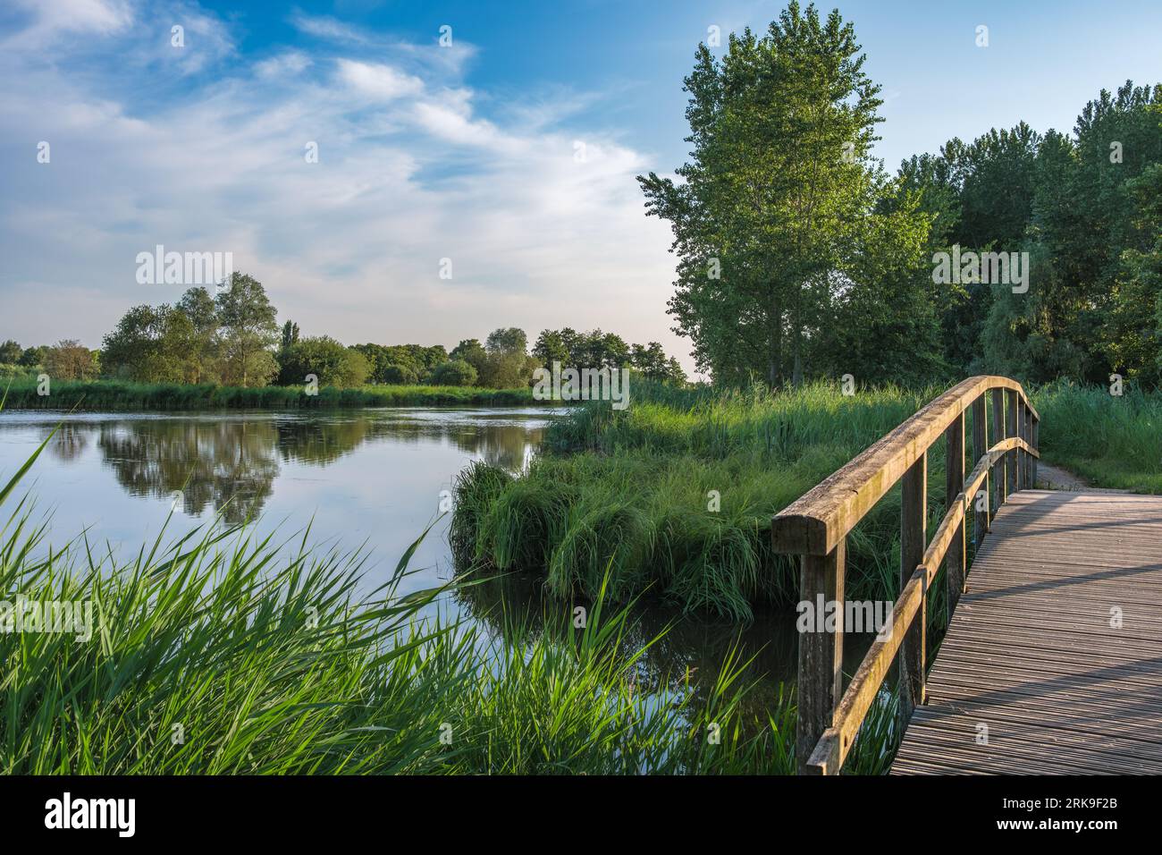 Schöner Landschaftspark, genannt Het Abtwoudse Bos, an der Grenze zur Stadt Delft, Niederlande. Der Wald mit vielen Wasserbächen und kleinen Brüchen Stockfoto