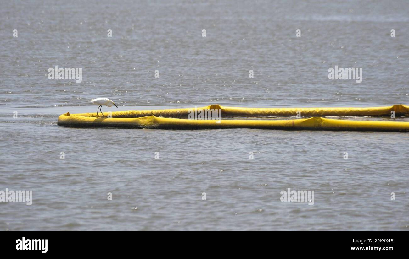 Bildnummer: 54241708 Datum: 19.07.2010 Copyright: imago/Xinhua (100720) -- CODRIE, 20. Juli 2010 (Xinhua) -- Ein Seevögel steht auf einem Öleindämmungsboom entlang der Küstenlinie der Terrebonne Bay bei Cocodrie, Louisiana, USA, 19. Juli 2010. Hier wurden Maßnahmen einschließlich des Bauprojekts für die Barriereinseln von Louisiana ergriffen, um die Feuchtgebiete und ihre Wildtiere zu schützen, die durch die Ölpest im Golf von Mexiko schwer beschädigt werden könnten. (Xinhua/Qi Heng) (wjd) (12)US-ÖLLECKENSCHUTZ PUBLICATIONxNOTxINxCHN Fotostory Gesellschaft Umweltkatastrophe Ölpest Öl Golf von Stockfoto
