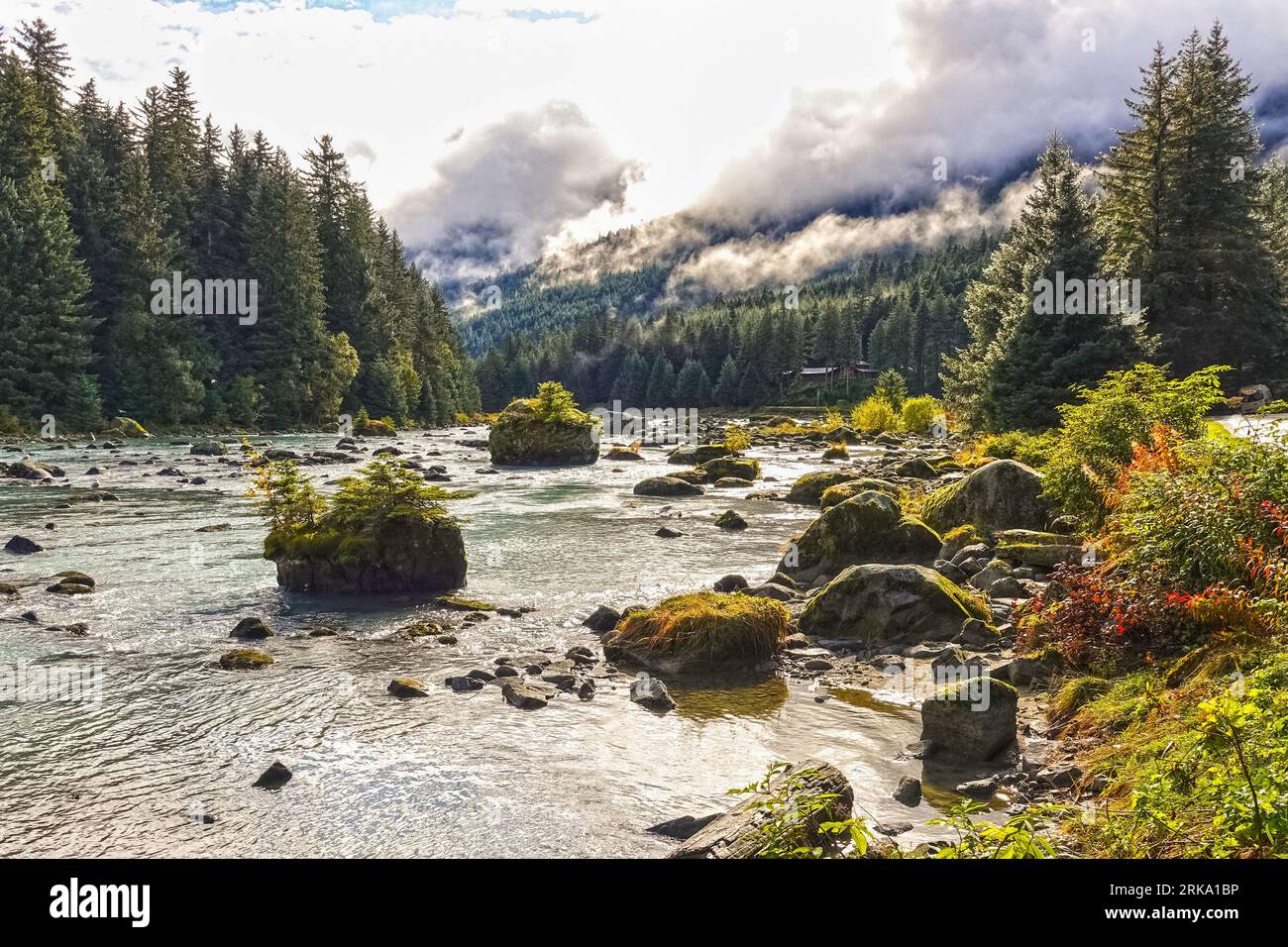 Chilkoot River in der Nähe von Haines, Alaska, USA. Stockfoto