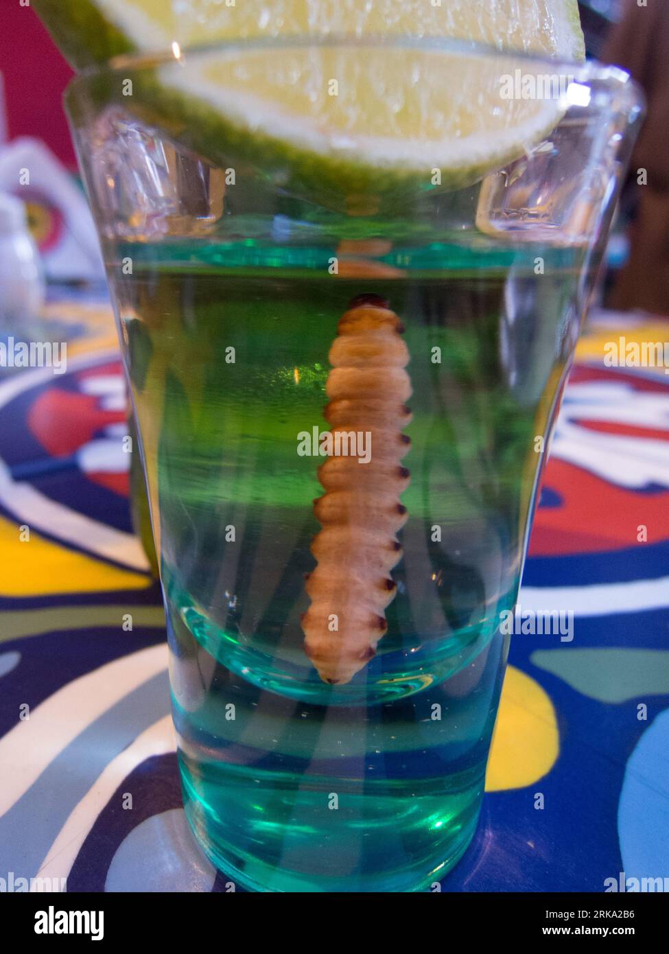 glass with mescal tequila and cactus worm Stockfoto