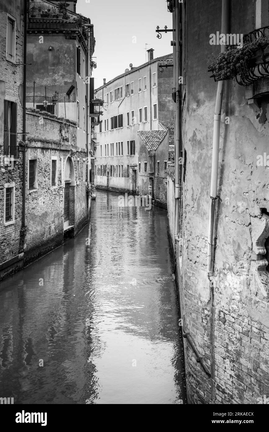 VENEZIA, ITALIEN - 17. August 2023: Farbige Häuser im Zentrum von venedig, in der Mitte des großen Kanals Stockfoto