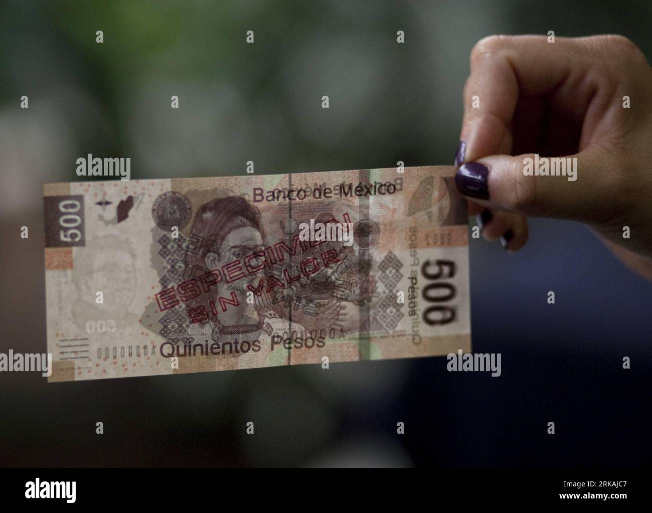 Bildnummer: 54374460 Datum: 30.08.2010 Copyright: imago/Xinhua (100831) -- MEXIKO-STADT, 31. August 2010 (Xinhua) -- Eine neue mexikanische 500-Peso-Währung wird am 30. August 2010 bei der Banco de Mexico in Mexiko-Stadt, der Hauptstadt Mexikos, vorgestellt. Die neue Notiz wurde offiziell ab August 30 in Umlauf gebracht. (Xinhua/Jorge Dan) (lr) (1)MEXIKO-MEXIKO-STADT-NEUE RECHNUNG-500 PESOS PUBLICATIONxNOTxINxCHN Wirtschaft Geld Banknote Geldschein Objekte kbdig xsk 2010 quer o0 Währung Bildnummer 54374460 Datum 30 08 2010 Copyright Imago XINHUA Mexiko-Stadt Aug 31 2010 XINHUA eine neue MEXIKANISCHE 500 Peso-Banknote IST vorhanden Stockfoto