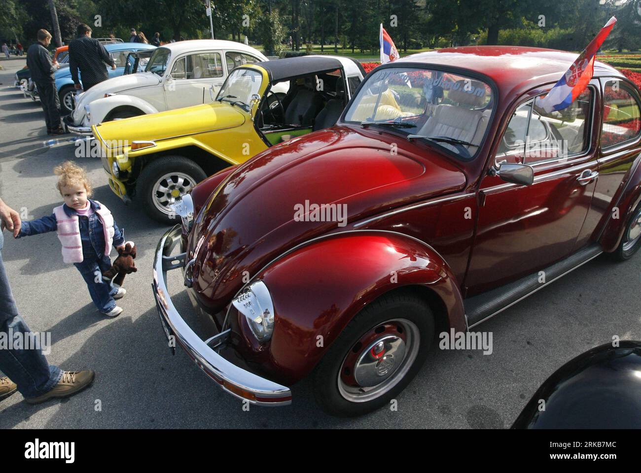 Bildnummer: 54505839 Datum: 02.10.2010 Copyright: imago/Xinhua (101002) -- BELGRAD, 2. Oktober 2010 (Xinhua) -- Volkswagen Beetle Automobile werden im Rahmen einer Ausstellung vor dem Rathaus anlässlich des VW Beetle fest im Oktober und des dritten Jahrestages des Belgrader VW Beetle Vereins am 2. Oktober 2010 in Belgrad, Serbien, ausgestellt. Der Volkswagen Beetle, auch bekannt als Volkswagen Type 1, war ein Sparwagen des deutschen Automobilherstellers Volkswagen (VW) mit über 21 Millionen in seiner luftgekühlten Hinterradantrieb-Konfiguration. Schließlich seine Plattform Stockfoto