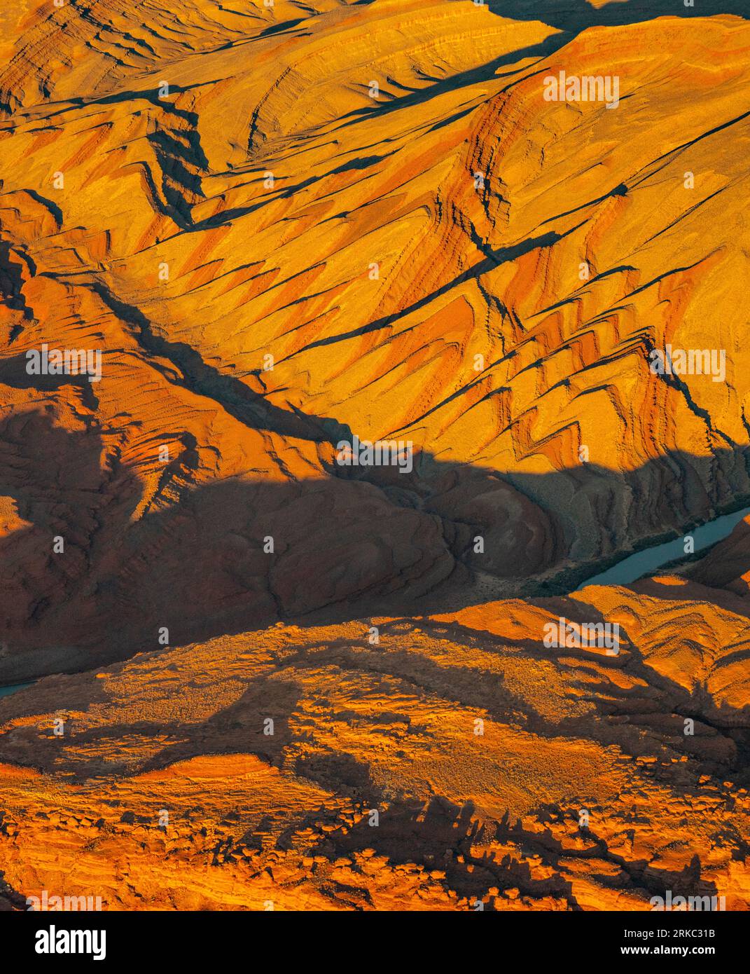 Formationen der Raplee Anticline, Navajo Rservation, Utah San Juan River Stockfoto