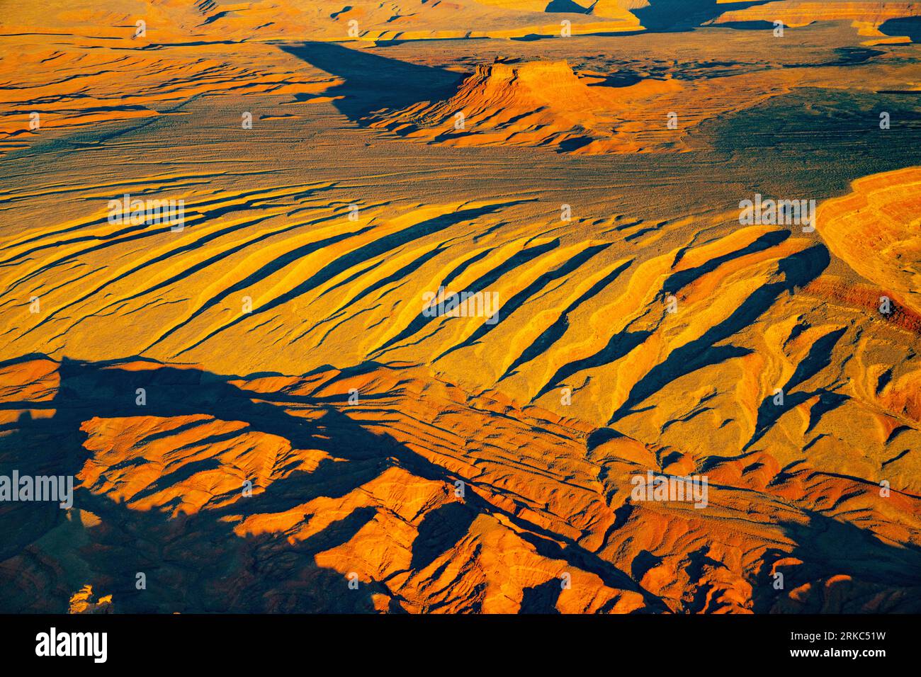 Formationen der Raplee Anticline, Navajo Rservation, Utah San Juan River Stockfoto