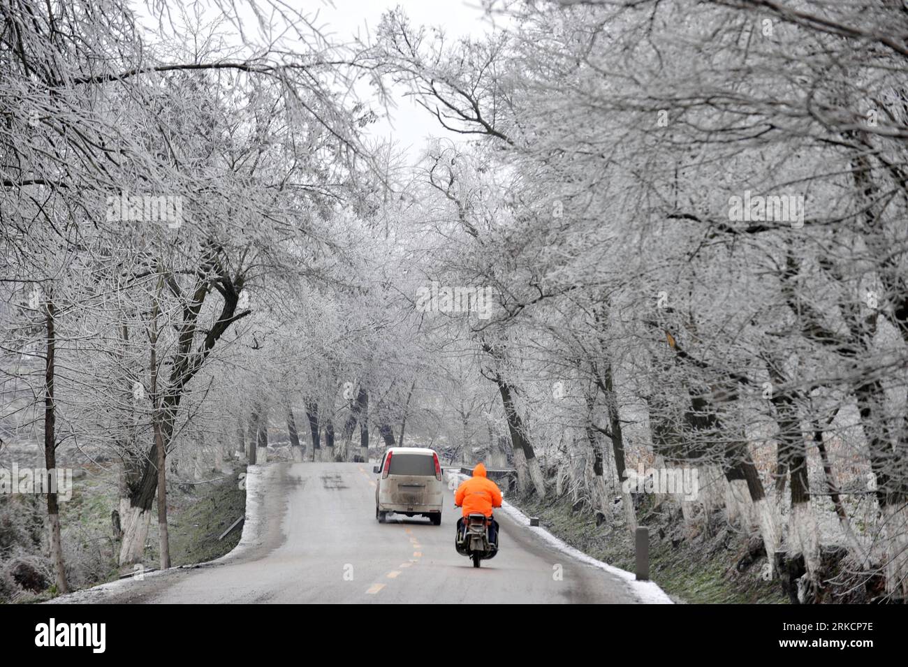 Bildnummer: 54791480 Datum: 07.01.2011 Copyright: imago/Xinhua (110107) -- GUIYANG, 7. Januar 2011 (Xinhua) -- Fahrzeuge laufen unter den eisbedeckten Bäumen in Guiyang, der Hauptstadt der südwestchinesischen Provinz Guizhou. Das chinesische National Meteorological Center (NMC) setzt seine zweithöchste Alarmstufe für Teile Südchinas fort, die mit Eistemperaturen und Eisregen zu kämpfen haben, da mehr Schlechtwetter erwartet wird. Der NMC-Donnerstag prognostizierte für die Provinz Guizhou im Zentrum und Norden, die westliche Provinz Hunan und die nordöstliche Guangxi Zhuang Autono einen eisigen Regen, der sich schnell in Eis auf dem Boden verwandelt Stockfoto