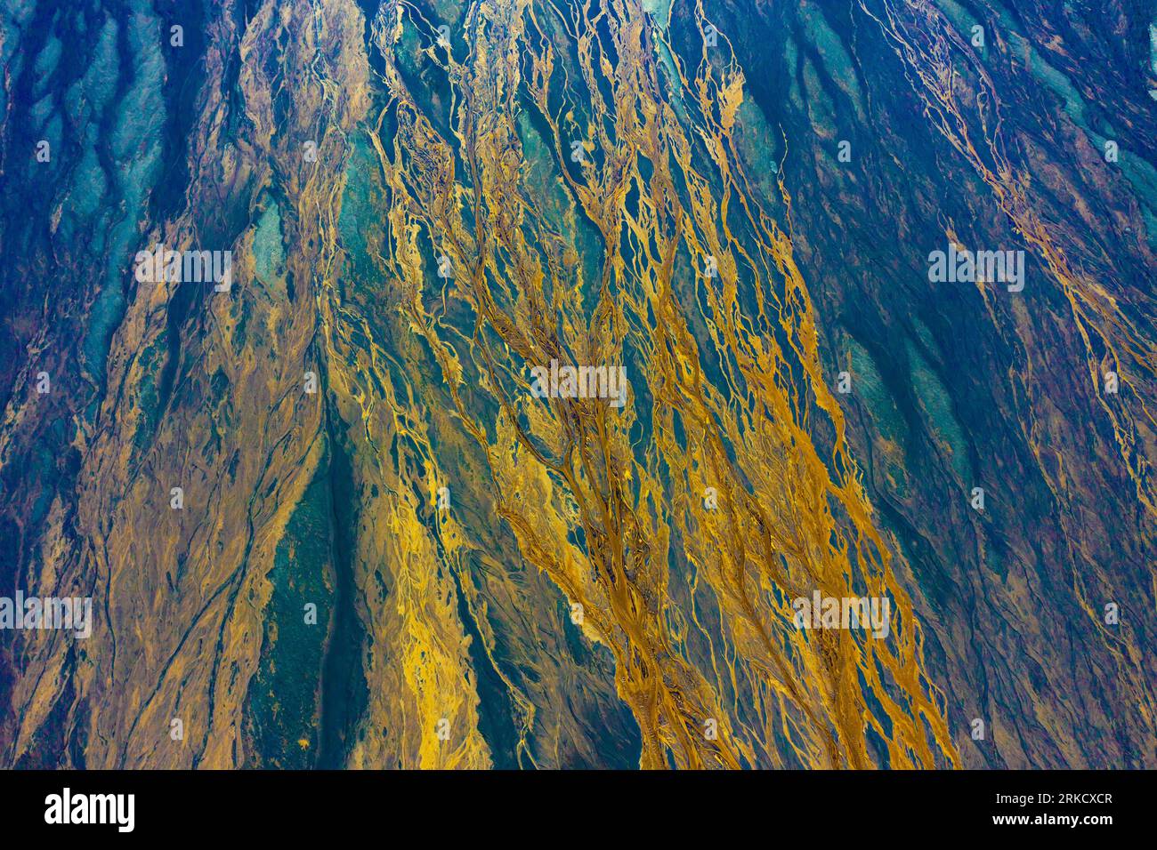 Geflochtenes Flussmuster, Island Highlands, Island Stockfoto