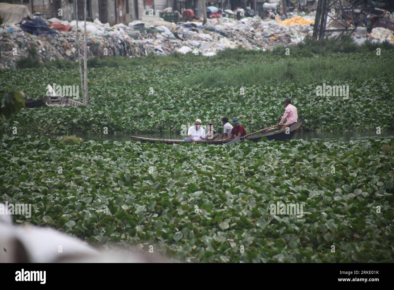 Dhaka Bangladesch 24. August 2023.aufgrund der Wasserhyazinthe im Buriganga-Fluss wird die Navigation unterbrochen. Bootsfahrer und Passagiere, die Probleme haben Stockfoto