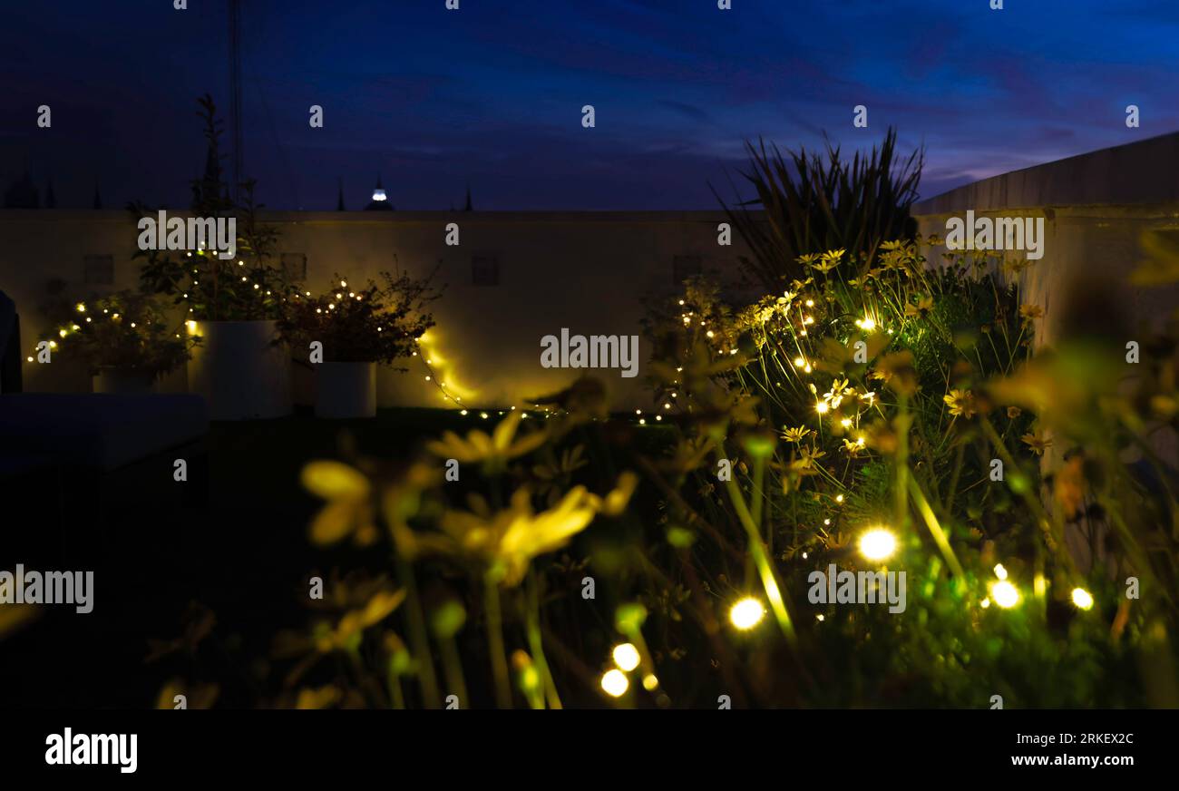 Außenterrasse bei Nacht mit Pflanzen, Blumen und Lichterketten. Moderner Stil. Selektiver Fokus Stockfoto
