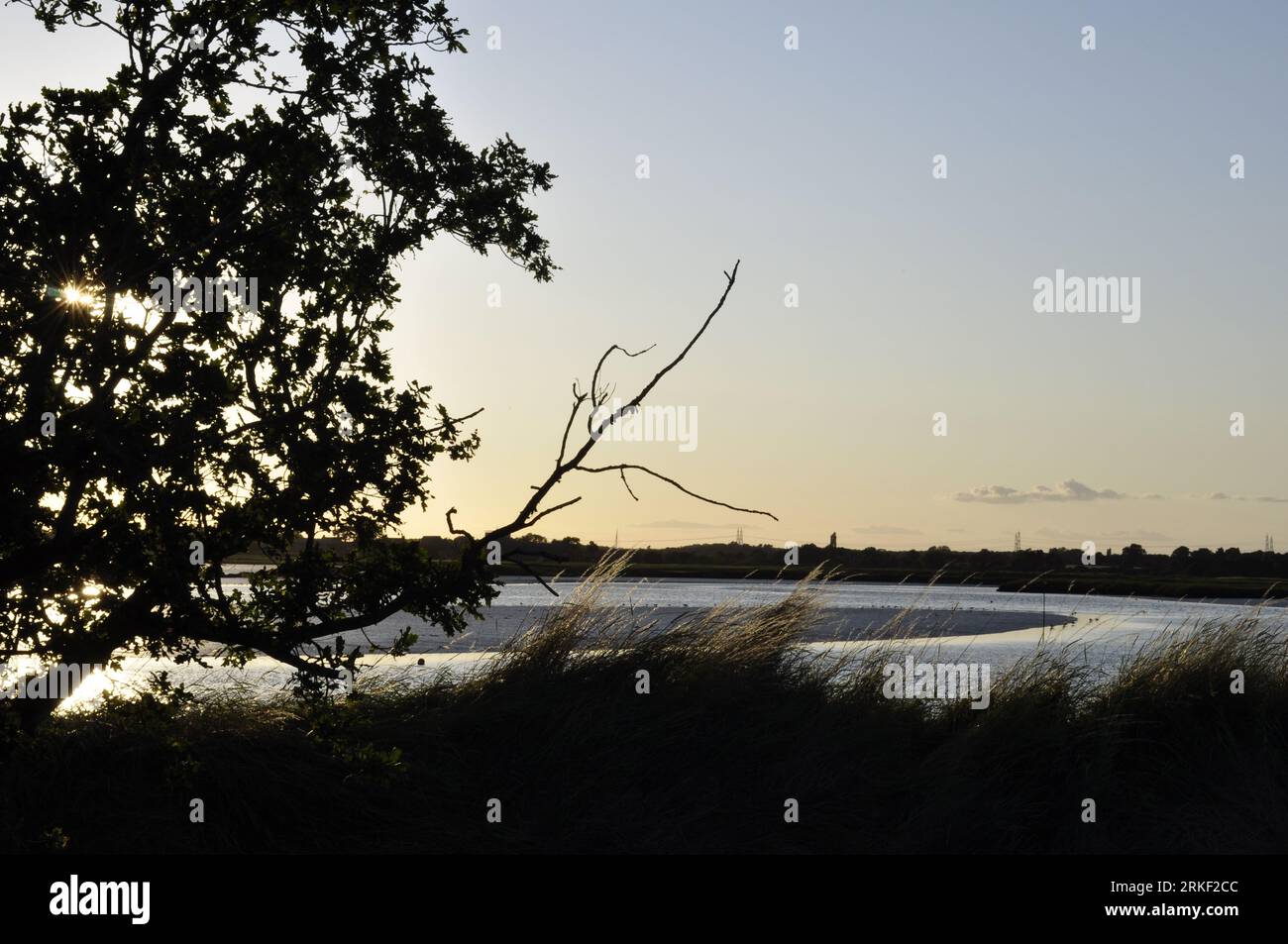 Der Fluss ALDE unterhalb von Snape, Suffolk, England, Großbritannien Stockfoto