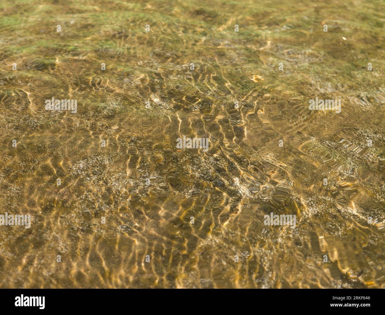 Seichter Fluss, der über den Sandboden fließt 1 Stockfoto