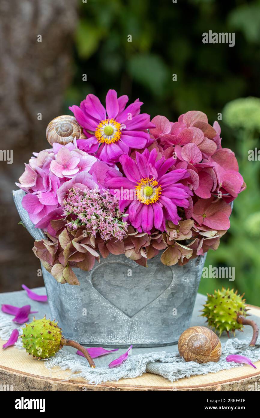 blumenarrangement mit rosa japanischen Anemonen und Hortensienblüten im Zinktopf Stockfoto