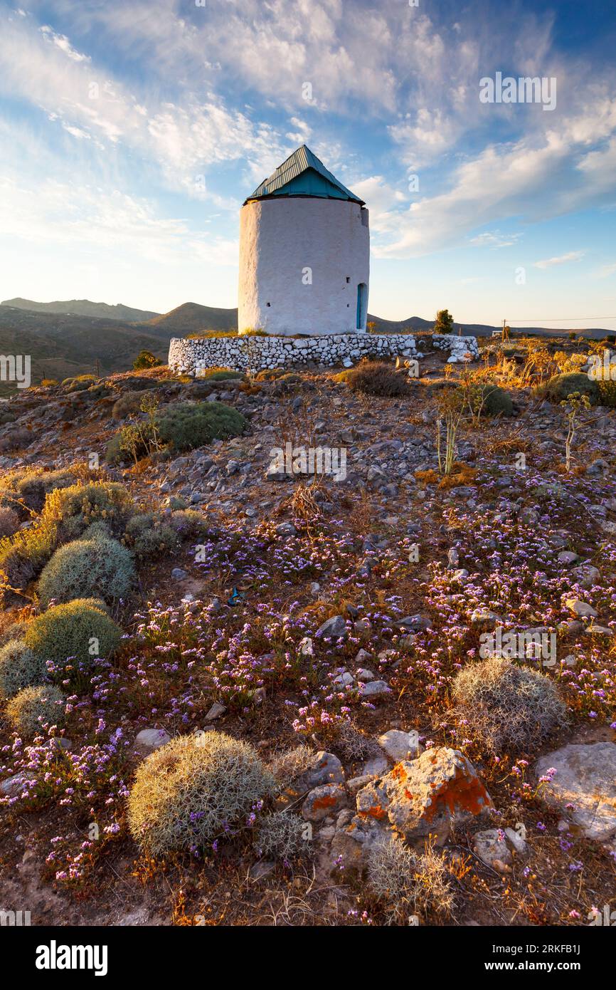 Alte Windmühle und späten Frühling Blumen auf Kimolos Insel in Griechenland. Stockfoto