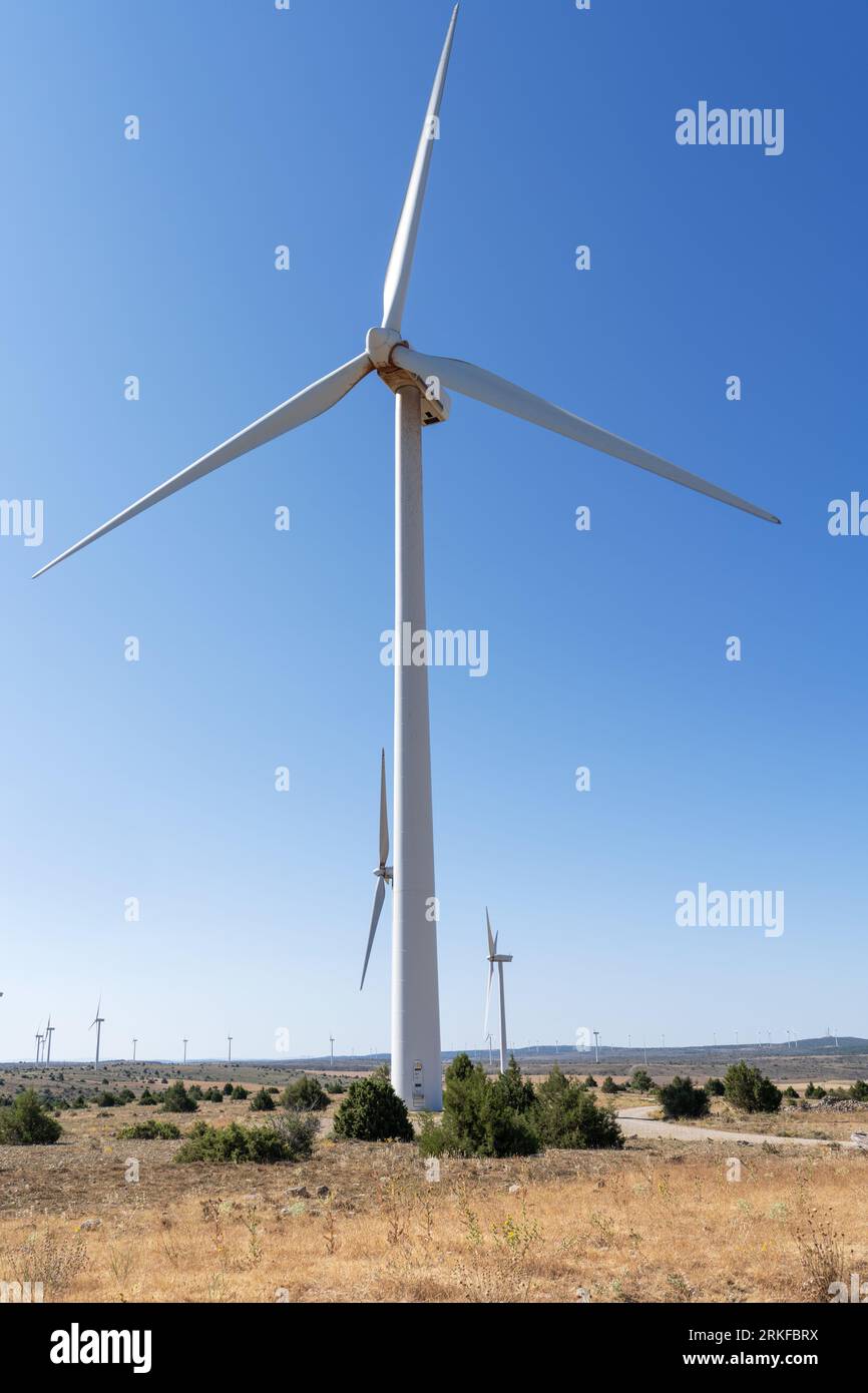 Windenergieanlagen aus erneuerbaren Energien Stromerzeugung in Maranchon, Guadalajara Stockfoto