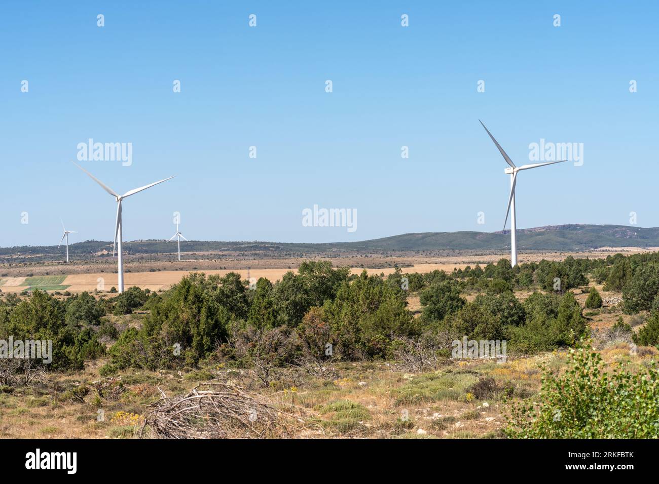 Windenergieanlagen aus erneuerbaren Energien Stromerzeugung in Maranchon, Guadalajara Stockfoto