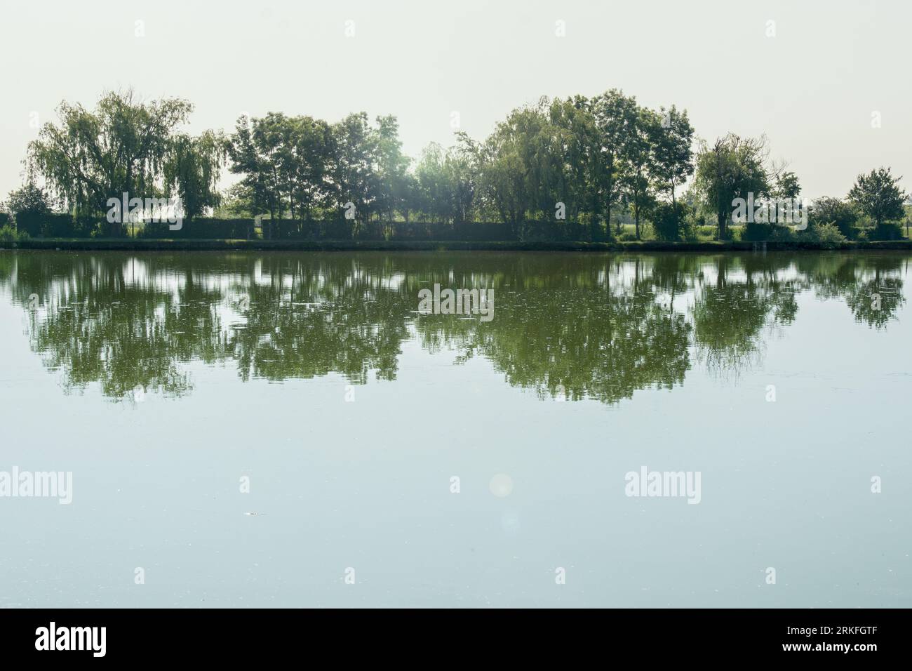 Bäume spiegeln sich auf der Wasseroberfläche Stockfoto