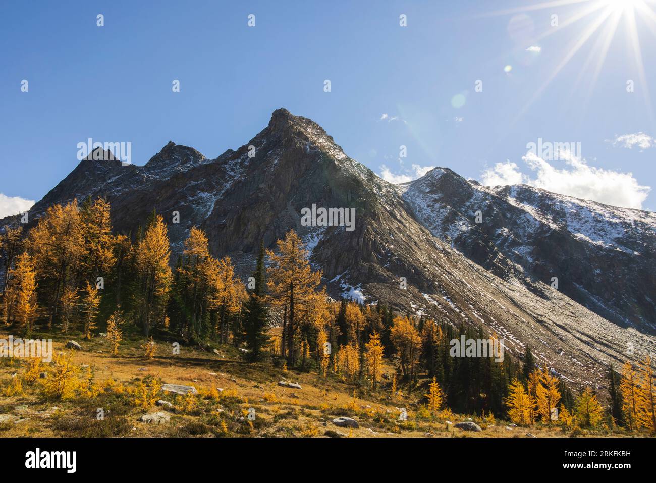 Jumbo Pass im Herbst, British Columbia Kanada Stockfoto